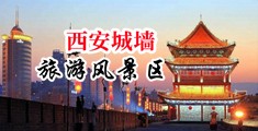 美女的逼视频网站中国陕西-西安城墙旅游风景区